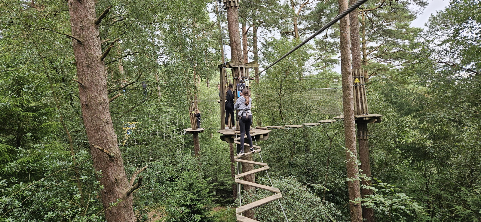 Go Ape Haldon